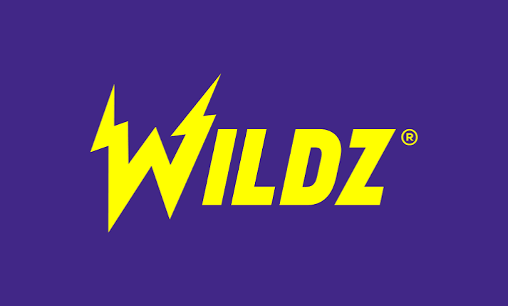 Wildzy Casino logo